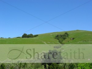 Spring Green on the Hills