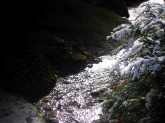 Sunny Winter Stream Background