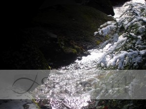 Sunny Winter Stream Background