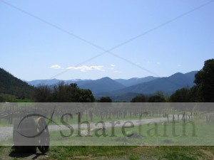 Rustic Hills Scene