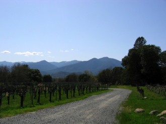 Country%20Road%20Leading%20to%20Mountains