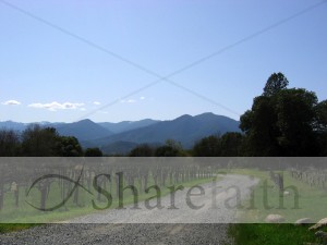 Country%20Road%20Leading%20to%20Mountains