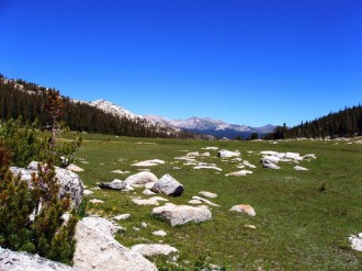 Granite%20in%20Mountain%20Meadow