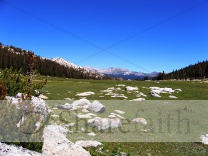 Granite%20in%20Mountain%20Meadow