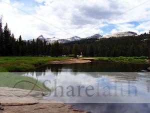 Mountain%20Lake%20in%20Gentle%20Pasture