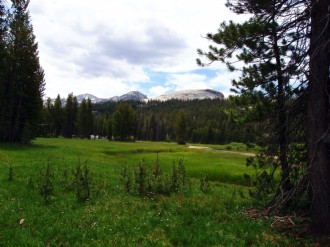 Pasture%20at%20the%20Base%20of%20Mountain%20Range