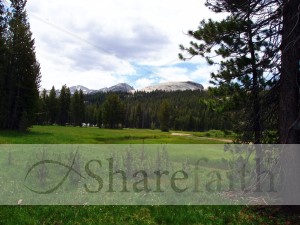 Pasture%20at%20the%20Base%20of%20Mountain%20Range