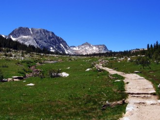 Trail through Mountain Meadow