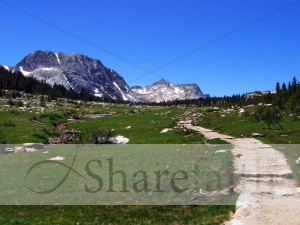 Trail%20through%20Mountain%20Meadow