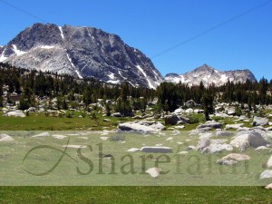 Boulders in Mountain Field