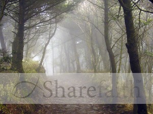 Path Through the Mist