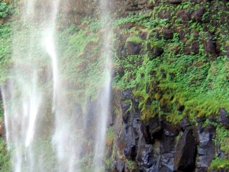 Waterfall with Green Moss
