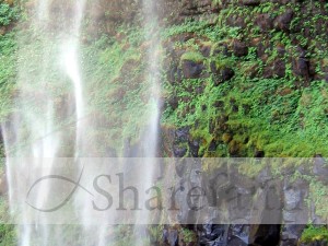 Waterfall with Green Moss