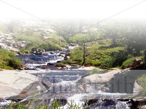 Bubbling Brook