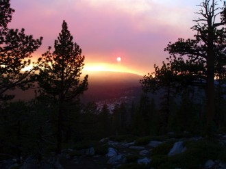 Incredible%20Purple%20Sunset%20View%20from%20Forest