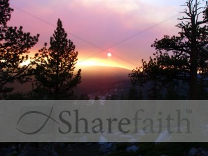 Incredible%20Purple%20Sunset%20View%20from%20Forest