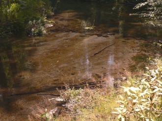 Still Pond Photo