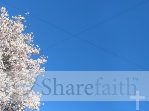 Spring Photo Background with Cross