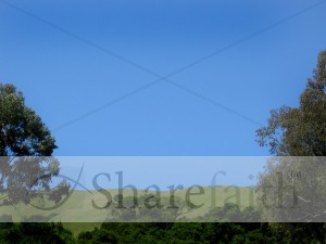Green%20Trees%20and%20Hills%20Photo