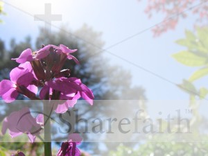 Spring Flower with Cross Watermark
