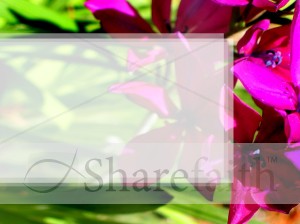 Purple Flower with Text Field