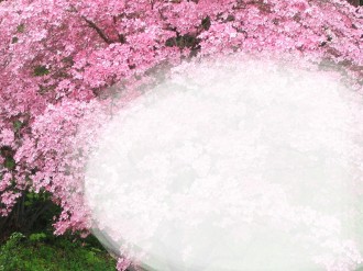 Cherry Tree with Text Area