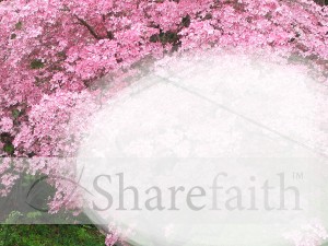 Cherry%20Tree%20with%20Text%20Area