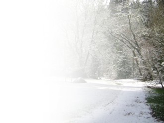 Road in the Snow Backdrop
