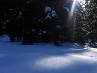 Sun Spotlights Snow Photo
