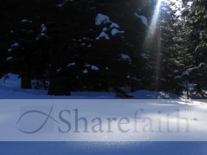 Sun Spotlights Snow Photo