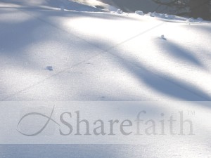Snow%20with%20Shadows