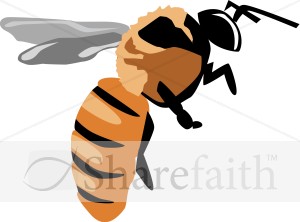Yellow%20Jacket%20Bee