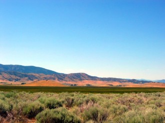 Scrub Landscape Photo