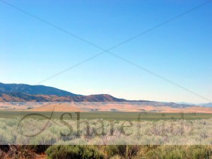 Scrub%20Landscape%20Photo