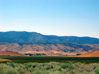 Scrubby Plains Image with Hills