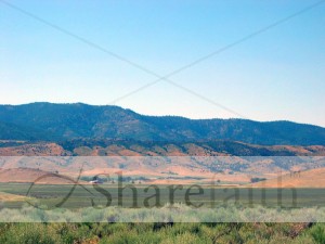 Scrubby Plains Image with Hills