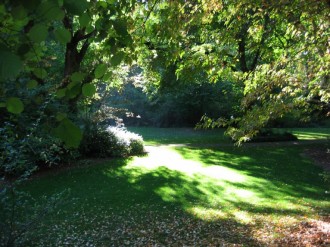 Green%20Glade%20Image