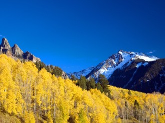Snowy Ridge with Yellow Aspens