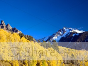 Snowy%20Ridge%20with%20Yellow%20Aspens