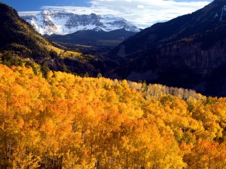 Autumn%20Forest%20with%20Mountains