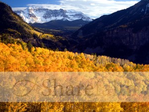 Autumn%20Forest%20with%20Mountains