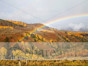 Rainbow Over Autumn Forest