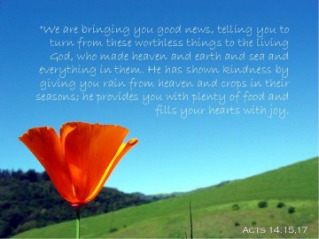 Red%20Flower%20Slide%20with%20Verse%20from%20Acts