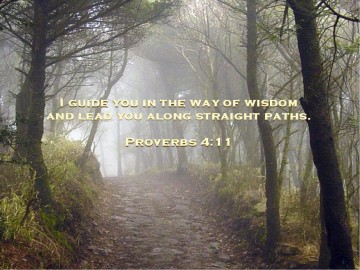 Inspirational%20Path%20in%20the%20Woods%20and%20Quote%20from%20Proverbs