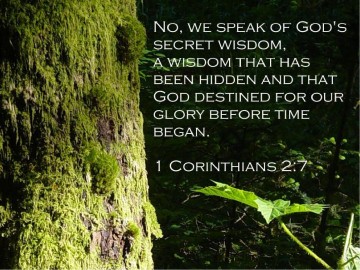 Wisdom%20of%20God%20From%20Corinthians