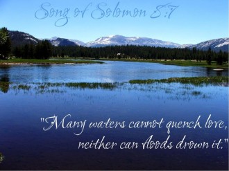 Love Quote from Song of Solomon