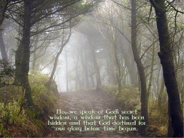 Misty%20Trail%20with%20God%27s%20Wisdom%20Quote%20from%20Corinthians