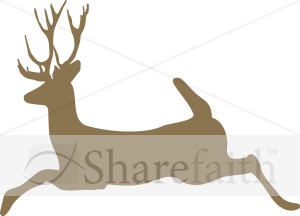 Bounding Stag