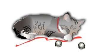 Kitten%20with%20Bells