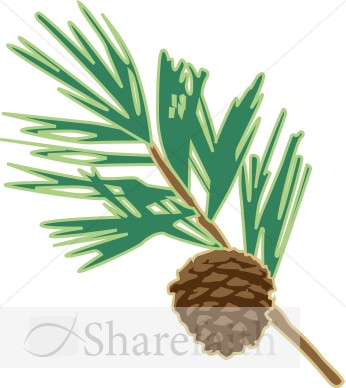 Pine%20Cone%20on%20Branch
